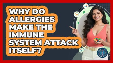 Why Do Allergies Make The Immune System Attack Itself? - All About the Immune System