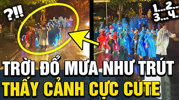 Các em nhỏ Đà Lạt ĐỘI MƯA đi rước đèn trung thu khiến bầu trời ảm đạm bỗng hoá TƯƠI VUI | TÁM TV