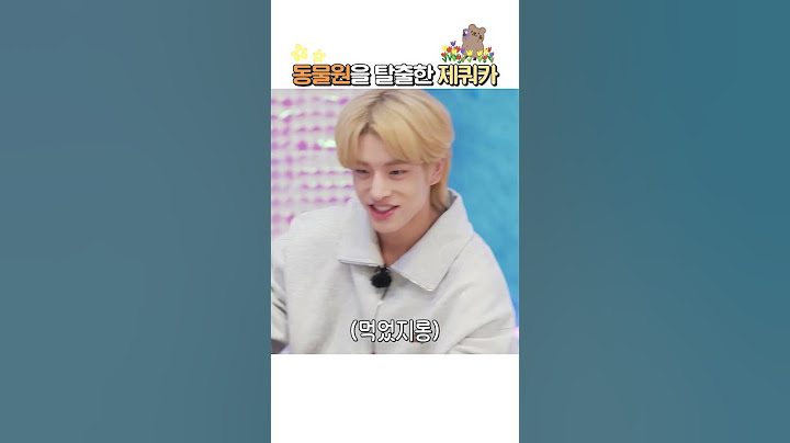동물원을 탈출한 제쿼카🤣 #EN_OCLOCK #ENHYPEN #엔하이픈