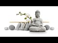 Concentration sur le souffle et pratique de vipassana