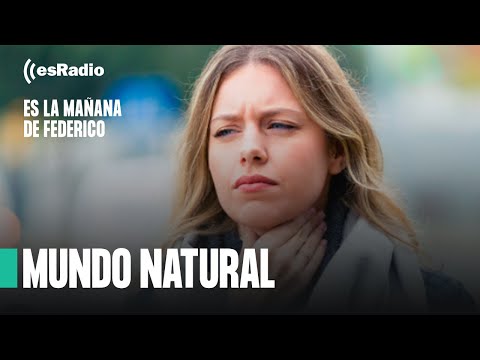 Mundo Natural: ¿Cómo mejorar las defensas?