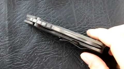 Strider RW-1 Rogue Warrior