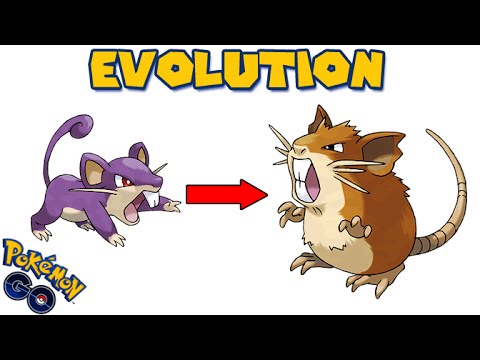 Rattata Evolution Chart