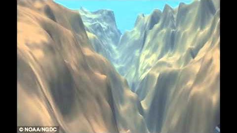 Deep Sea Trenches -- Tucker Hale