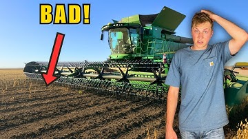 Mijn eerste sojabonenoogst... De opbrengst was NIET wat ik had verwacht!