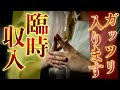 これを受けた人から臨時収入の報告が最も多く寄せられています