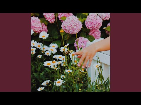 Sunny Boy's Lament - LAUNDRY DAY