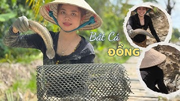 Bắt Cá Lóc Đồng Trong Mương Thấy Ham