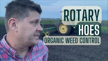 Rotary Hoe - Organic Weed Control