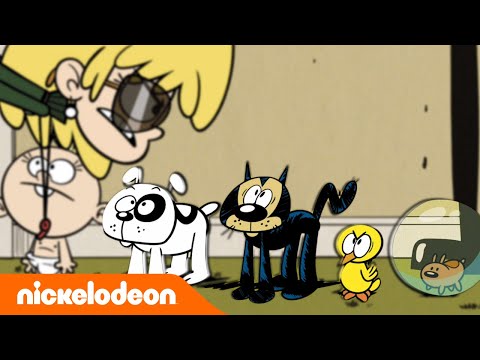 Мой шумный дом | В мире животных семьи Лаудов | Nickelodeon Россия