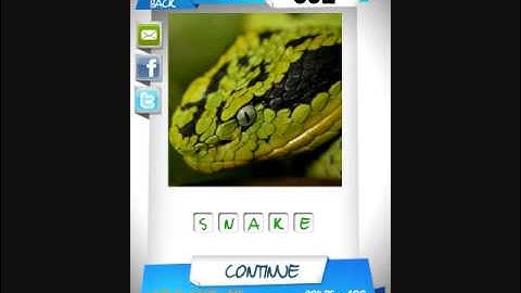 Zoom Pics Quiz Level 21-30 Answer Guide