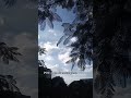 #natureshorts #nature #travel #viralvideo #trandingshorts #youtube #flowers #shortsfeed #sky #facts