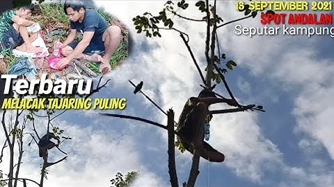 Tradisi cara melacak memikat serindit puling||Di spot andalan||.Part.01||Masak di hutan dan makan