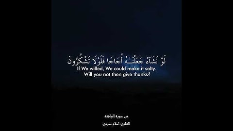 {{أفرءيتم المآء الذي تشربون}}...💜القارئ/اسلام صبحي.....