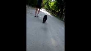 Video Thumbnail for MVI 7076