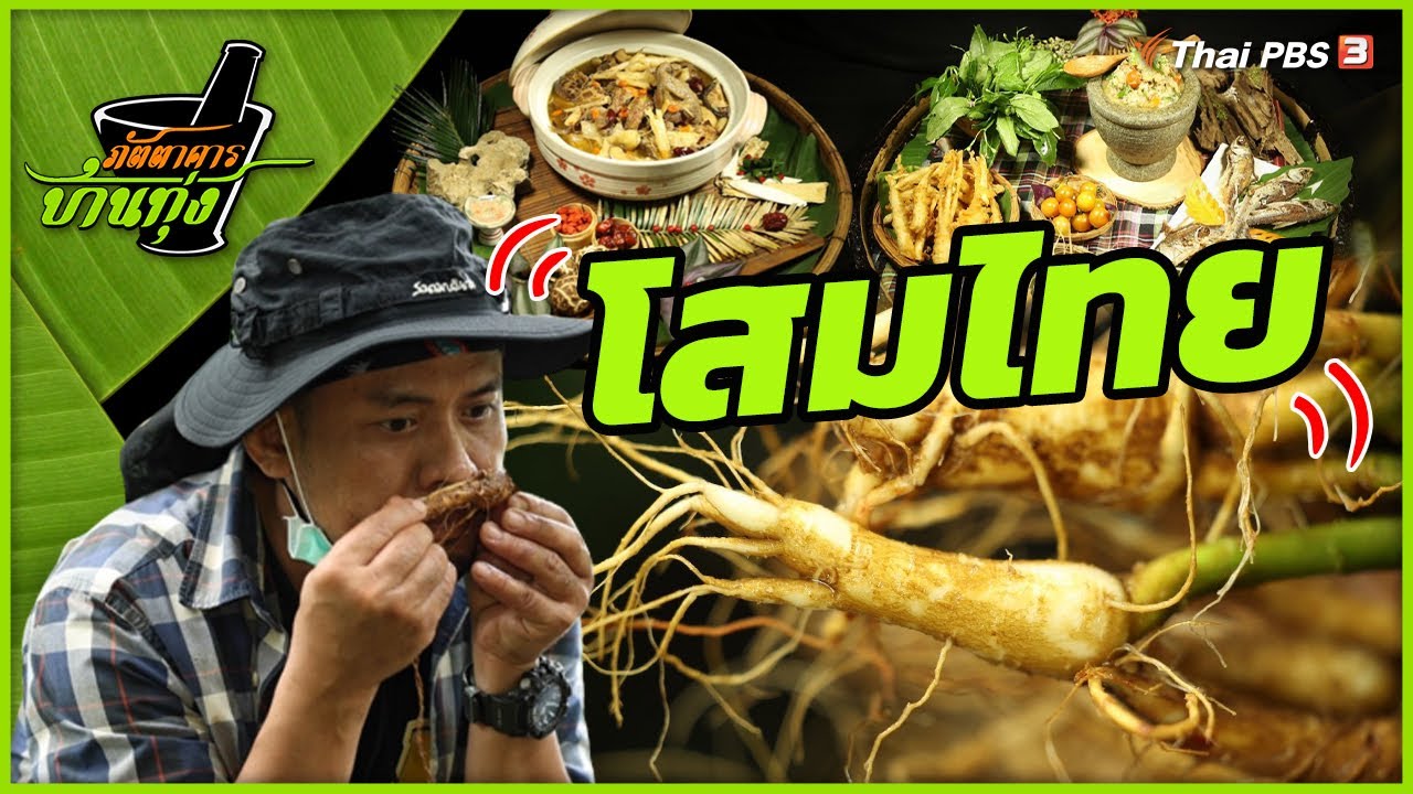 โสมไทย | ภัตตาคารบ้านทุ่ง