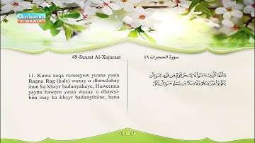 49 | Al-Xujuraat | Meshaari Raashid | Sacad Al-Qamdi | سورة الحجرات | مشاري راشد | سعد الغامدي