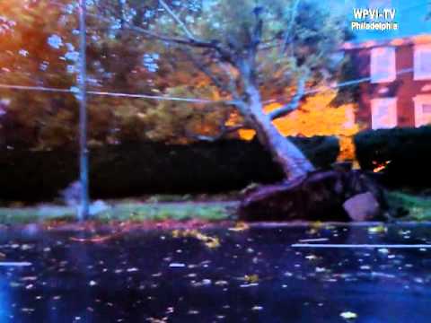 Fallen upon power lines, uprooted tree causes majo...