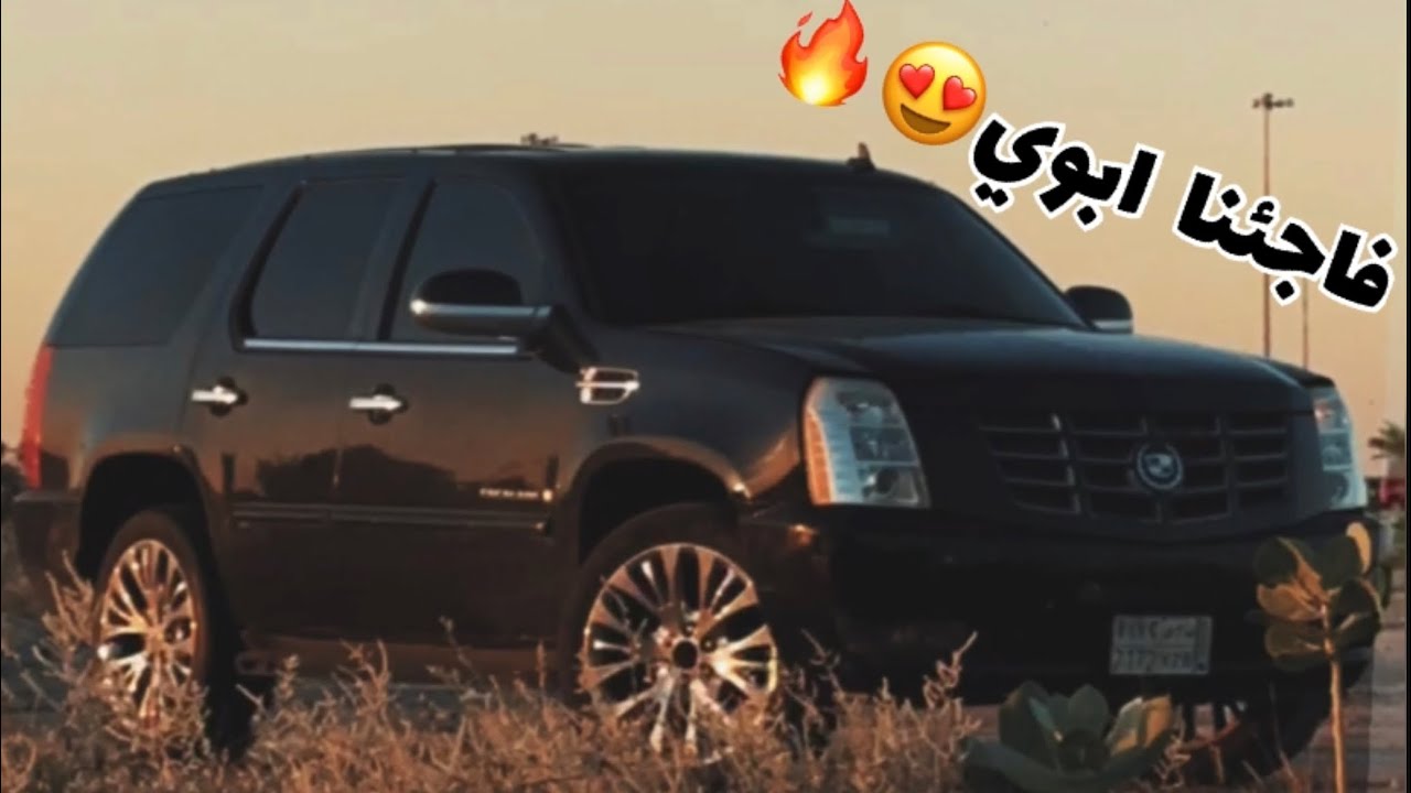 واخذنا الاسكاليد تجديد من الصفر 🔥 | AMZ