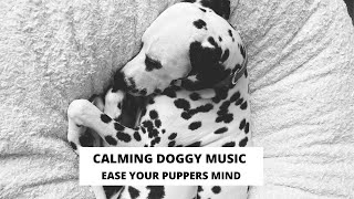 The MOST Calming doggy music - Ease your doggies mind!