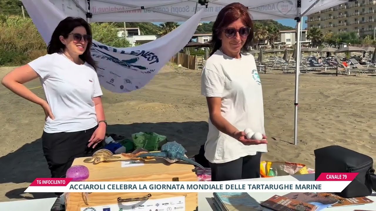 Acciaroli celebra la giornata mondiale delle tartarughe marine