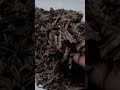 Real Agarwood Chips | Oud Lovers Must Watch