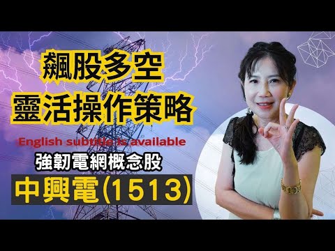 電網商機概念股~中興電(1513).We are covering CHEM (1513).