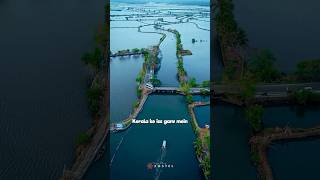 This is Kadamakkudy Island | Kochi Tourist Places | Zostel Top 50 | Ep. 40 #zostel #shorts #kochi