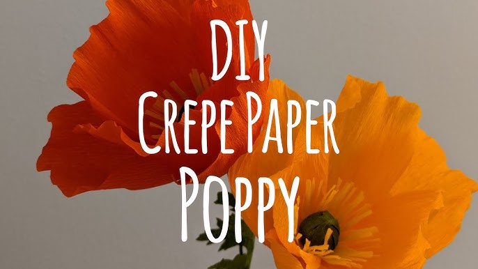 DIY: Crepe Paper Flowers – Oh My! Handmade