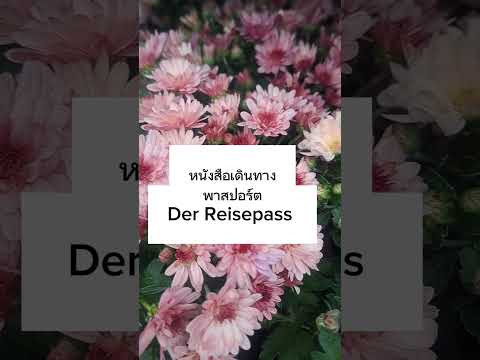 #ประโยคเกี่ยวกับสนามบิน#ภาษาเยอรมัน #เรียนภาษาเยอรมัน ภาษาเยอรมัน#deutschlernen #deutschland