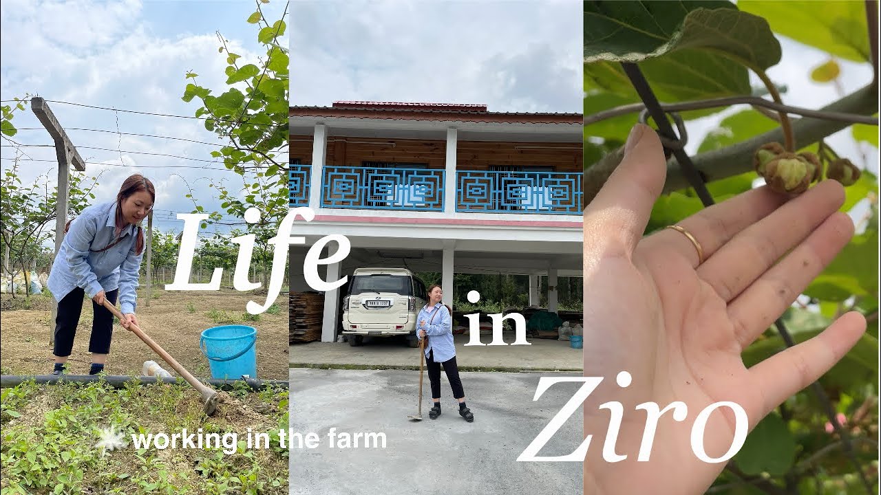 Life in Ziro| Visiting hometown, Working in the farm 🌱🌽