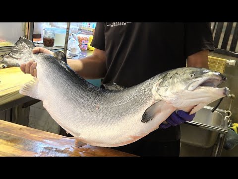 Fillet the whole huge salmon to make delicious salmon donburi