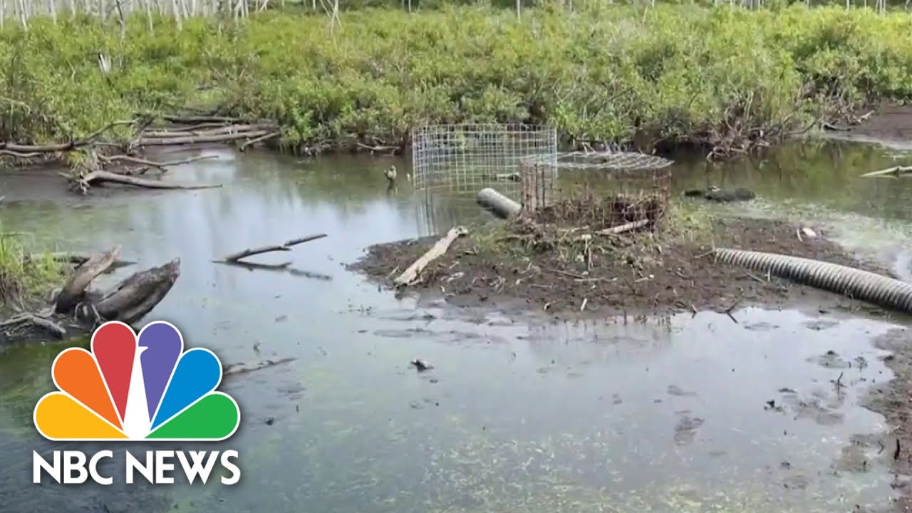 Federal Government Declares Parts Of New England 'Natural Disaster Areas' Due To Dry Conditions