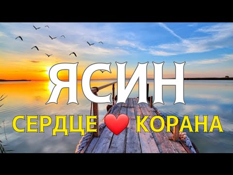 СУРА ЯСИН СЛУШАТЬ КАЖДЫЙ ДЕНЬ!