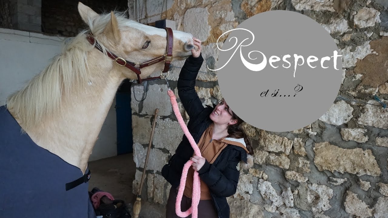 Au Secours Mon Cheval Ne Me Respecte Pas Youtube