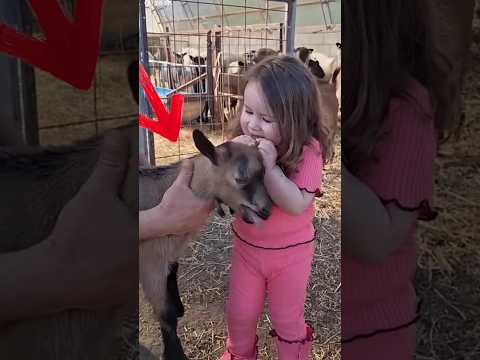 Don't do this mistake 😱🤔💯#shorts #youtubeshorts #ytshorts #shortvideo #facts