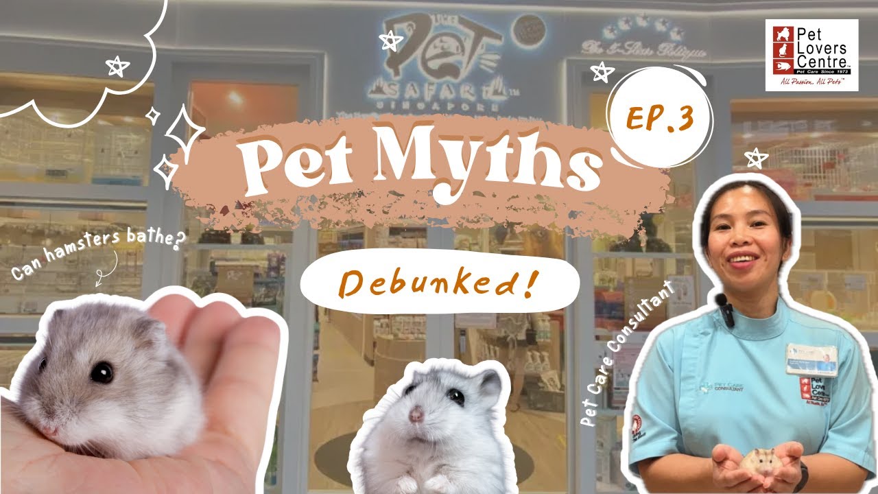 Pet Myths Debunked! Episode 3: The Great Hamster Hoax — Featuring Pet Care Consultant