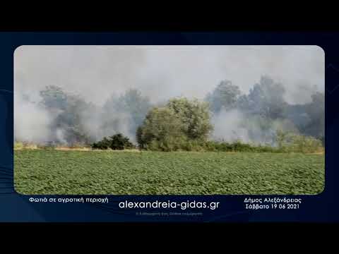 Φωτιά στον δήμο