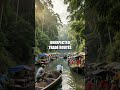 Echoes Across Rivers and Roots