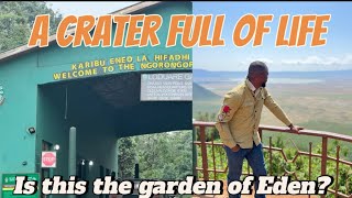 Discover Tranquility: Exploring the Wonders of Ngorongoro Crater, Tanzania.