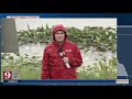 Multiple alligators linked to Florida canoe killing captured