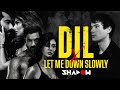 Dil x Let Me Down Slowly Mashup | DJ Shadow Dubai | Ek Villain Returns- John,Disha,Arjun,Tara