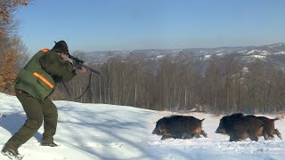 Hunting Serbia  Wild boar hunting | Lov divlje svinje Mali Zvornik  Crni Vrh | Caccia ai cinghiali