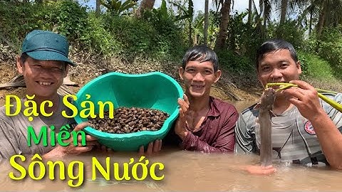 Mò trúng ổ HẾN vô tình hốt luôn em CÁ NGÁT bằng tay về nấu món ngon miền tây | Cldv #142