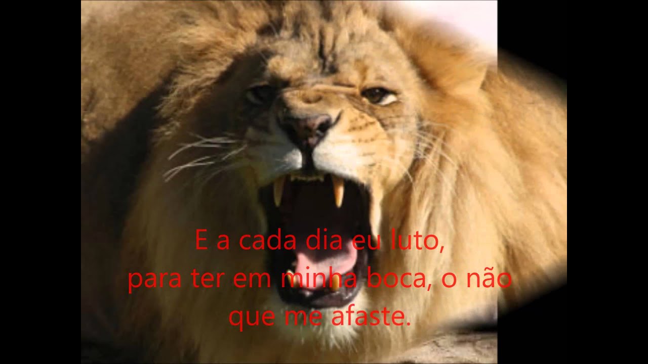 NÃO DEIXE EU ME PERDER   NEY ALVES