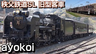 秩父鉄道 SLパレオエクスプレス C58 363傘寿記念 旧型客車特別運行 by ayokoi 5,704 views 1 month ago 16 minutes