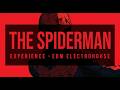 SPIDER-MAN FLOW 🕷️ Energetic EDM Electrohouse | Agility & Focus Energy