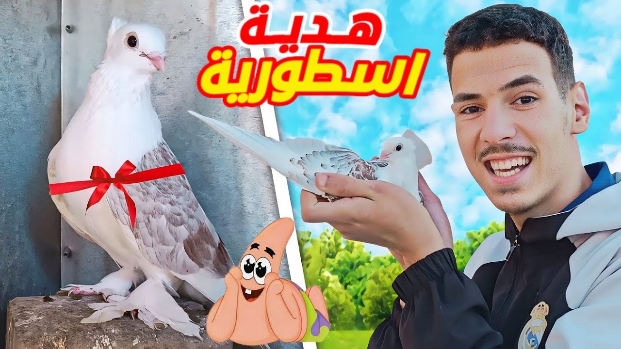 اكبر مفاجأة من متابع 🎁 اجيو تشوفوا شنو جبت 🎉 فيديو حمق 🤪