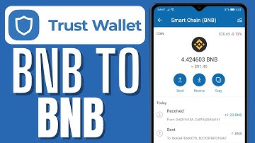 HOW TO SWAP BNB TO BNB SMART CHAIN ON TRUST WALLET 2024