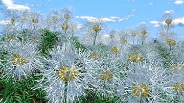 Dandelion - Blender Geometry Nodes 3.0 Field; Nodevember 2021